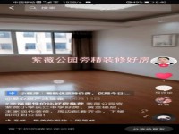 其它图