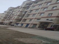 其它图