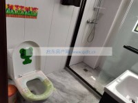 其它图