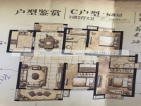 其它图